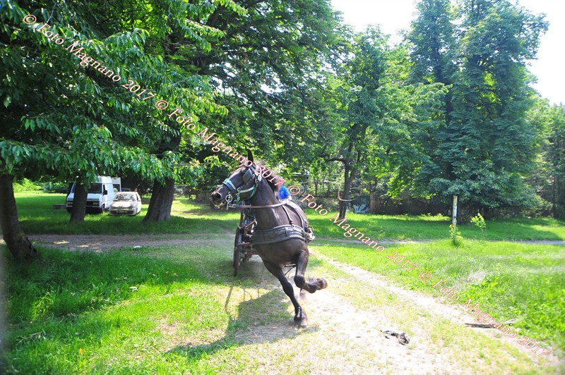 DSC_0898.JPG
